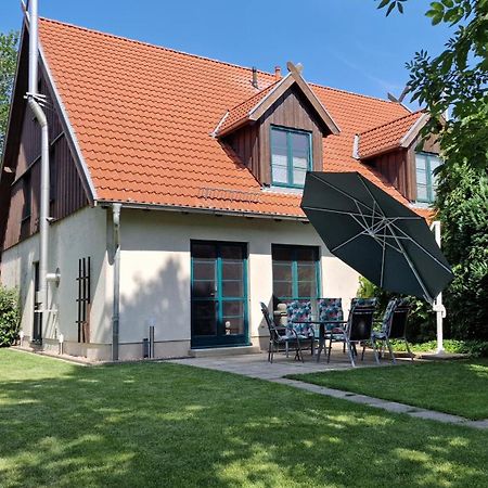 Ferienhaus Hase Villa Burg  Eksteriør bilde