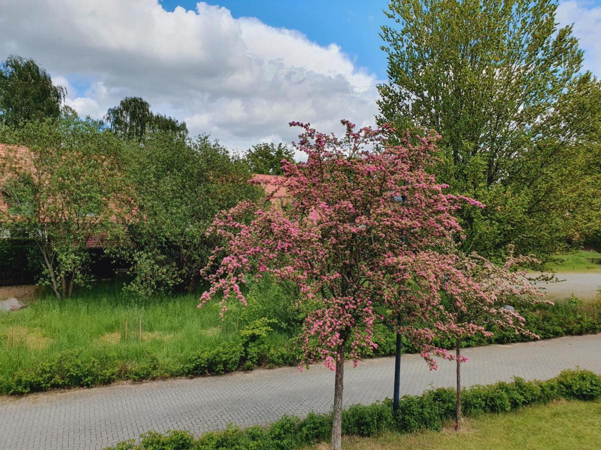 Ferienhaus Hase Villa Burg  Eksteriør bilde