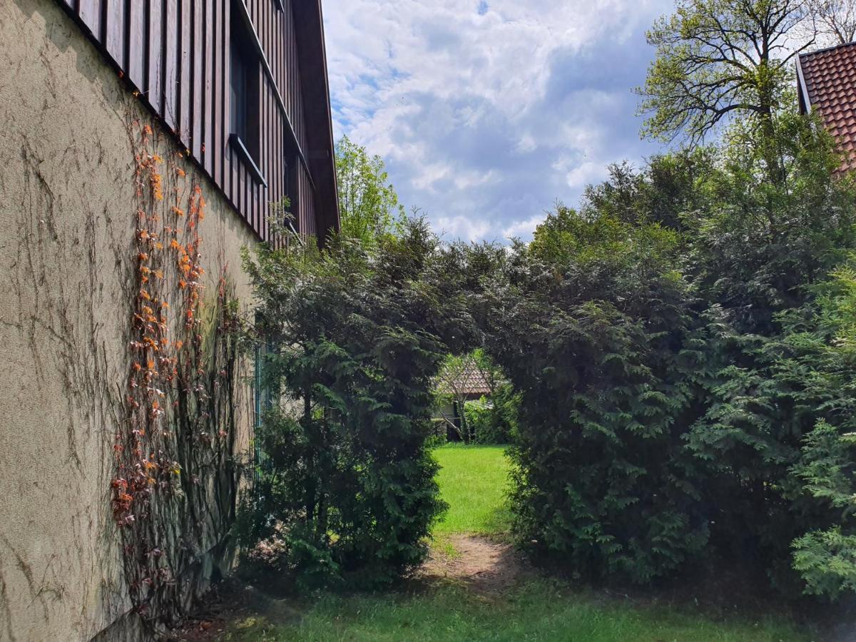 Ferienhaus Hase Villa Burg  Eksteriør bilde