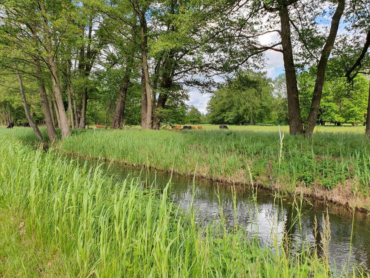 Ferienhaus Hase Villa Burg  Eksteriør bilde